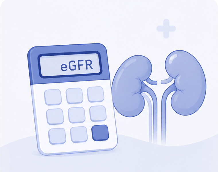 eGFR 腎功能計算機示意圖