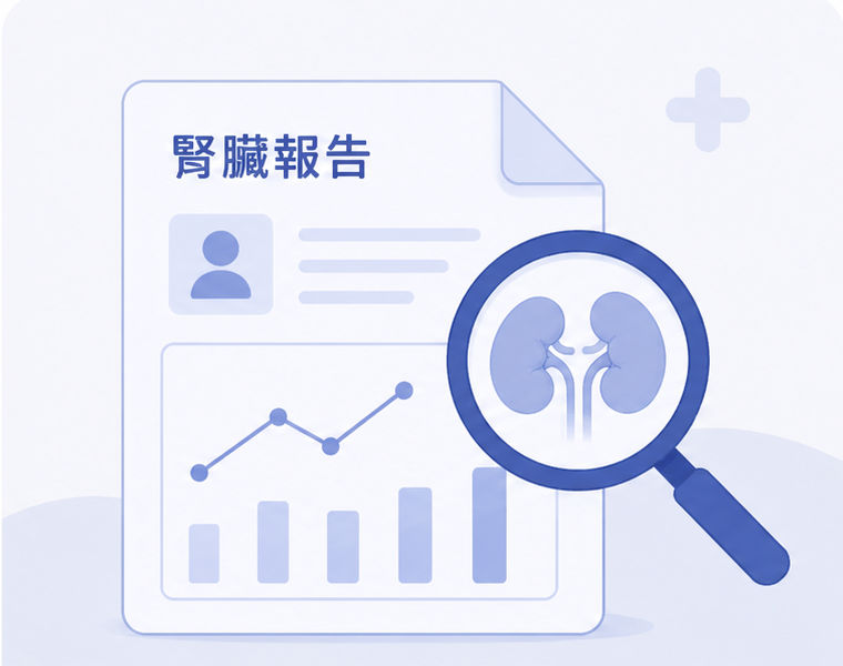腎臟報告說明示意圖